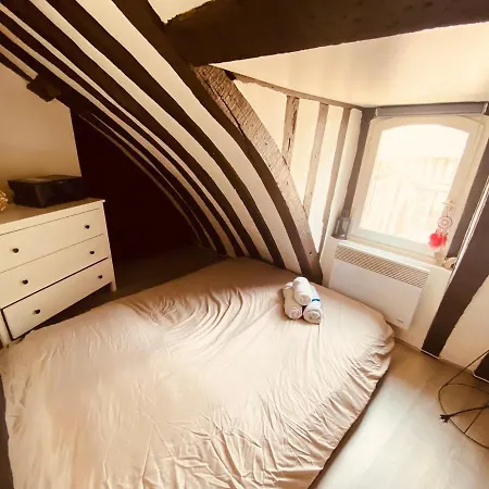 Queen's Palace- Superbe Logement Hypercentre - 242 公寓 鲁昂